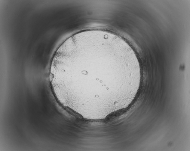 X0000102351421200808291150