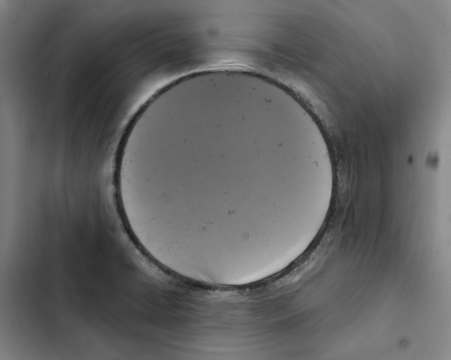 X0000102351422200808291150