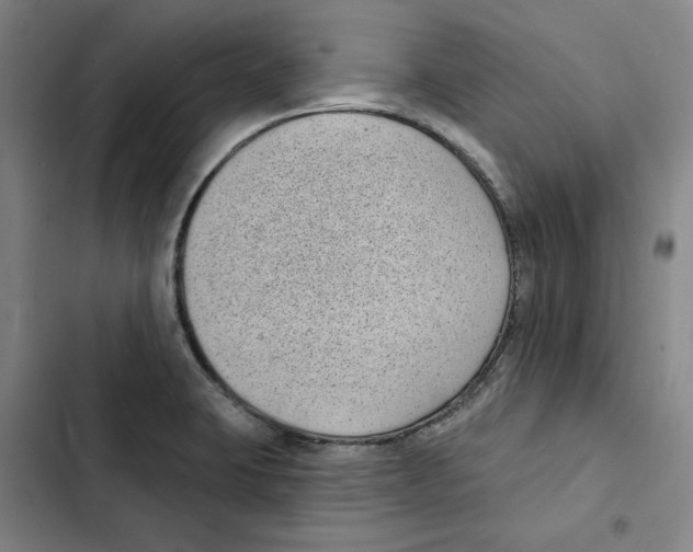 X0000102351423200808291150