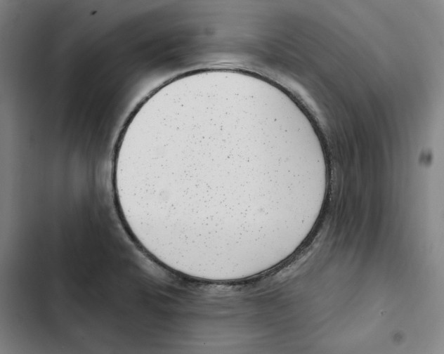 X0000102351424200808291150