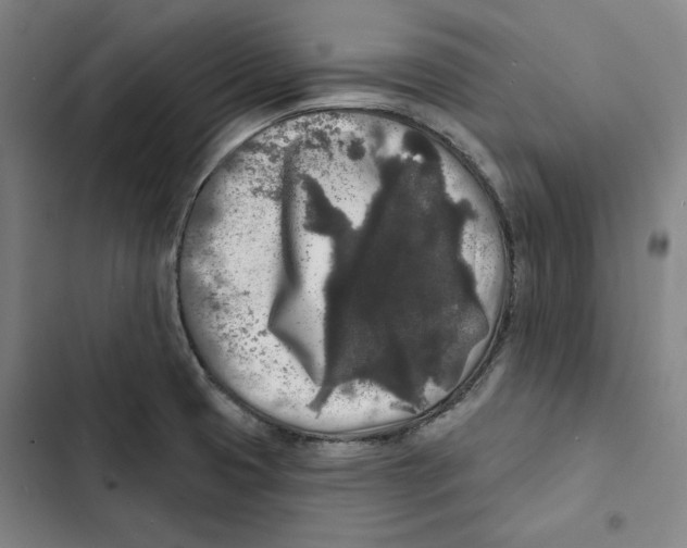X0000102351425200808291150