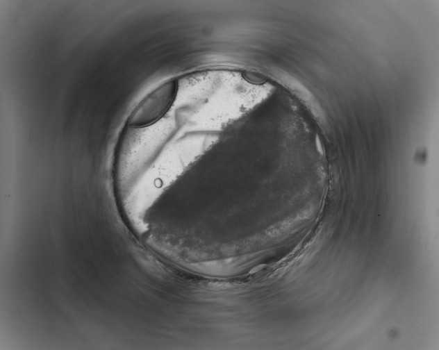 X0000102351427200808291150