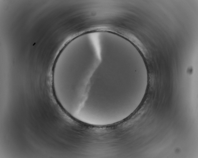X0000102351428200808291150