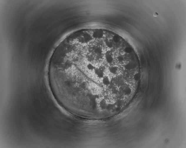 X0000102351429200808291150