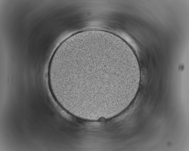 X0000102351431200808291150