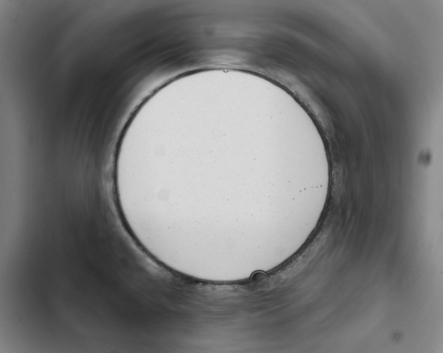 X0000102351432200808291150