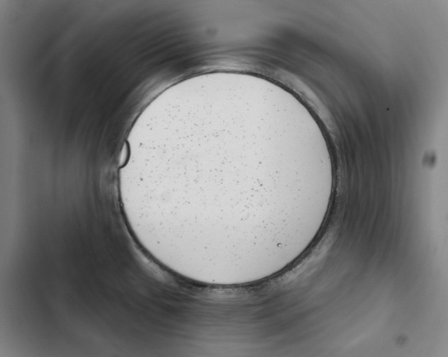 X0000102351433200808291150