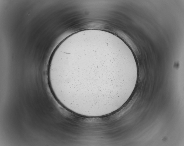 X0000102351434200808291150