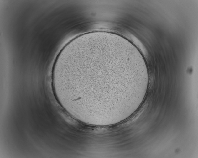 X0000102351435200808291150