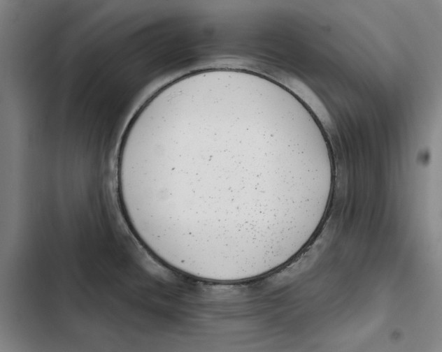 X0000102351436200808291150