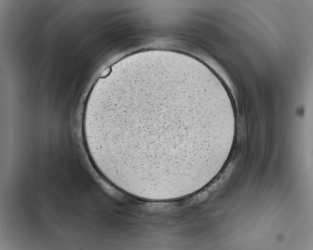X0000102351437200808291150