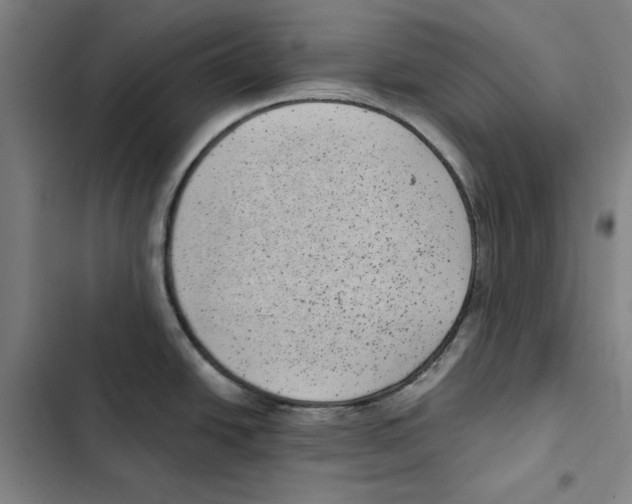 X0000102351438200808291150
