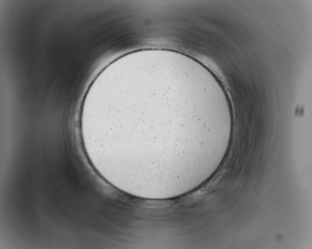 X0000102351440200808291150