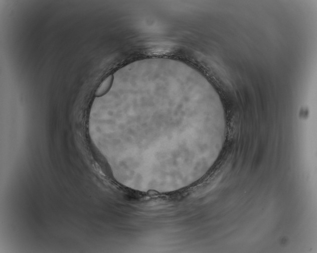 X0000102351441200808291150