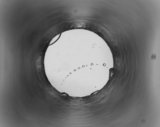 X0000102351442200808291150