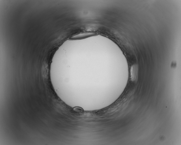 X0000102351443200808291150