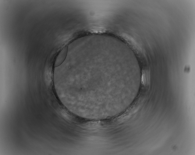 X0000102351444200808291150