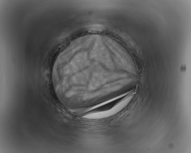X0000102351445200808291150