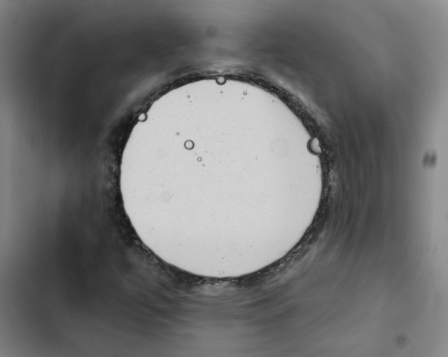X0000102351447200808291150
