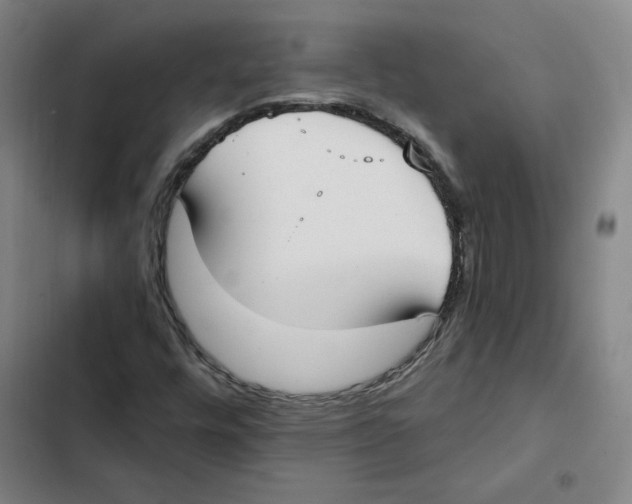 X0000102351448200808291150