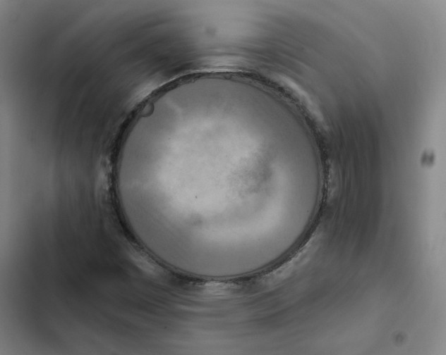 X0000102351449200808291150