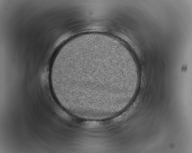 X0000102351450200808291150