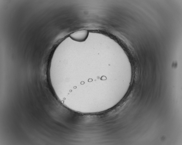 X0000102351451200808291150