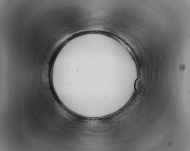 X0000102351452200808291149