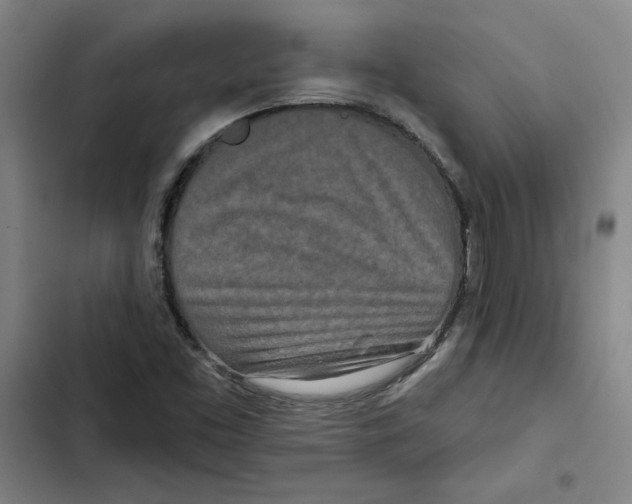 X0000102351453200808291149