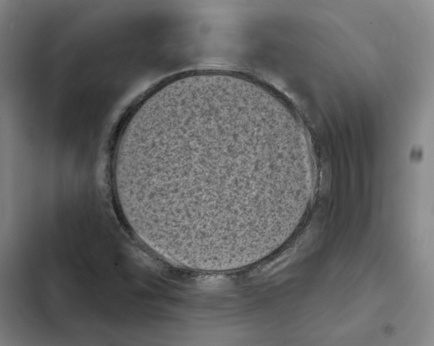 X0000102351454200808291149