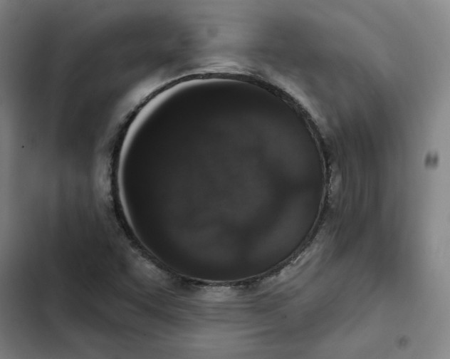 X0000102351455200808291149