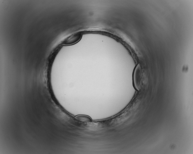 X0000102351456200808291149