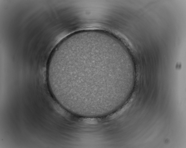 X0000102351457200808291149