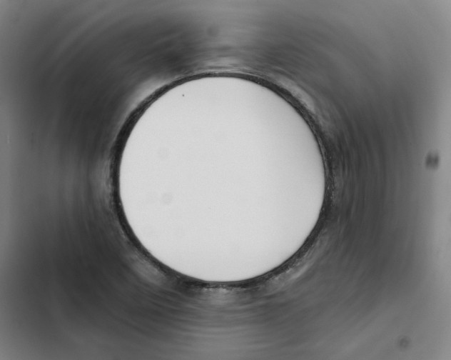 X0000102351458200808291149