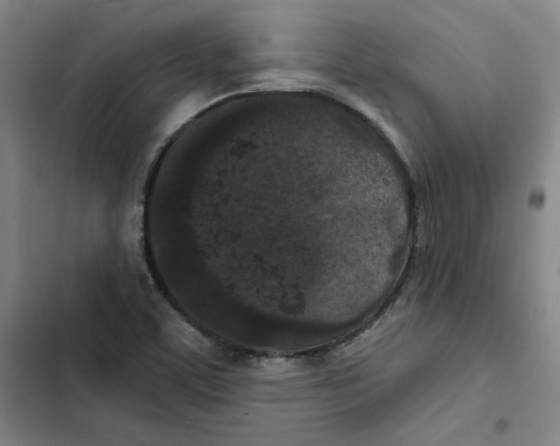 X0000102351459200808291149