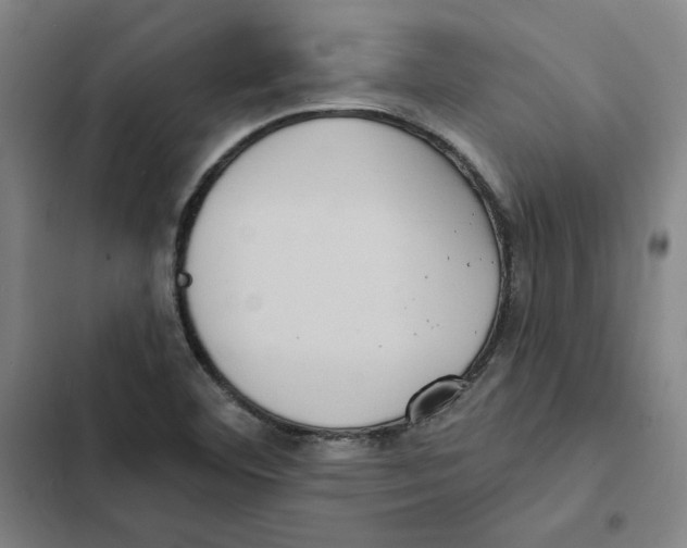 X0000102351460200808291149