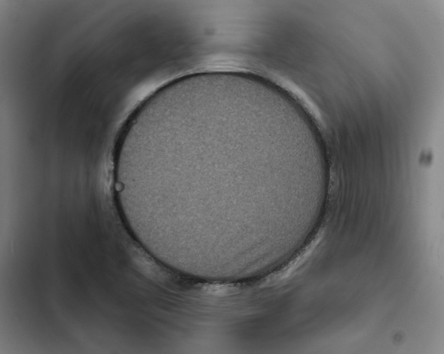 X0000102351461200808291149