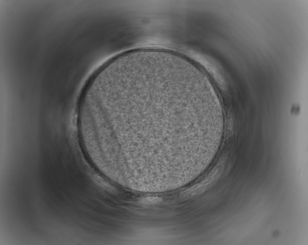 X0000102351462200808291149