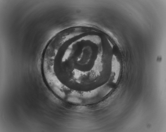 X0000102351463200808291149