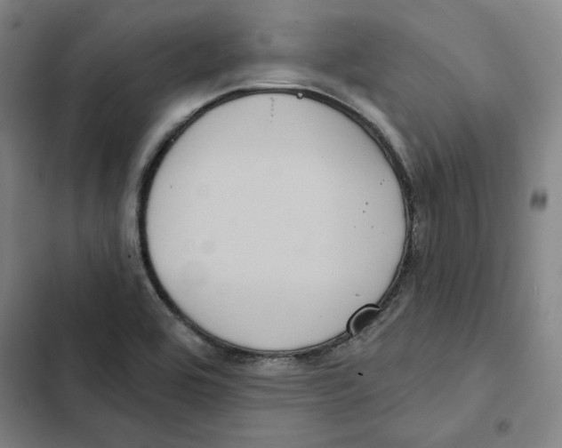 X0000102351464200808291149