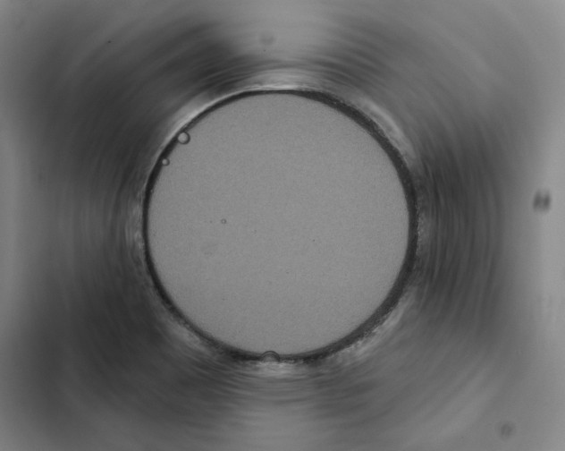 X0000102351465200808291149