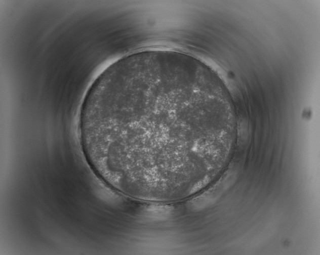 X0000102351466200808291149