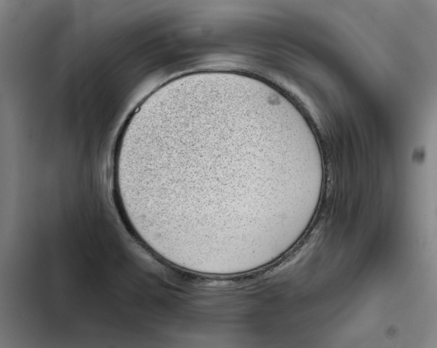 X0000102351467200808291149