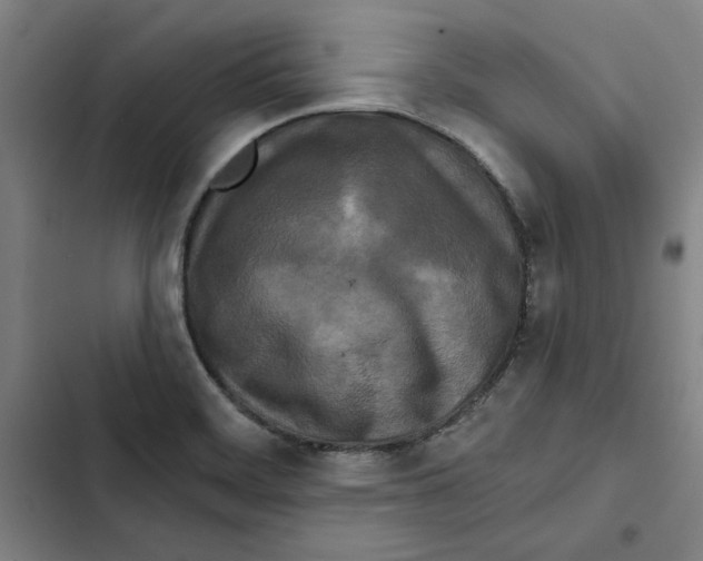 X0000102351468200808291149