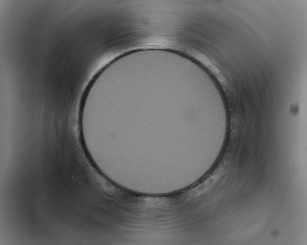 X0000102351469200808291149