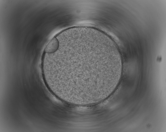 X0000102351470200808291149