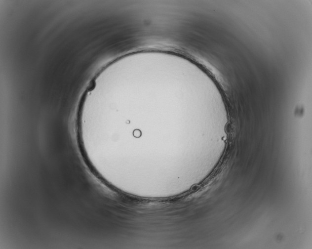 X0000102351471200808291149