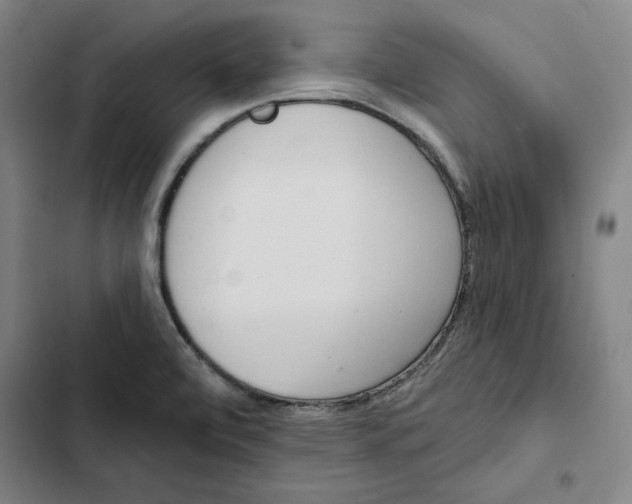X0000102351472200808291149