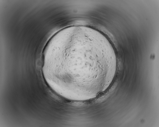 X0000102351473200808291149