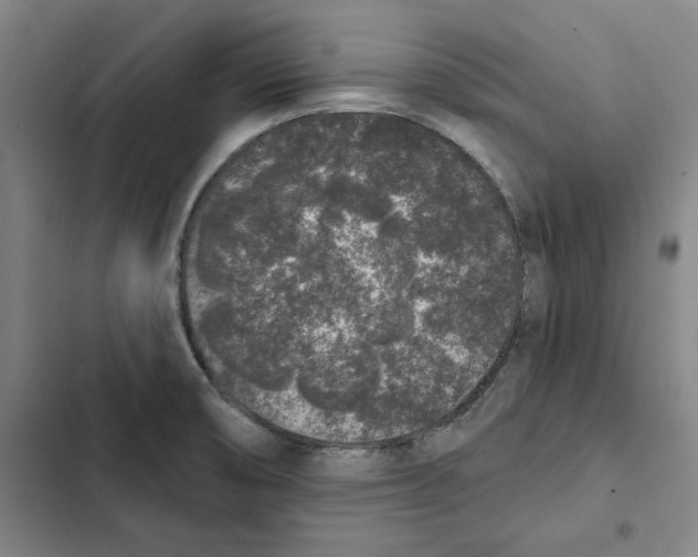 X0000102351474200808291149